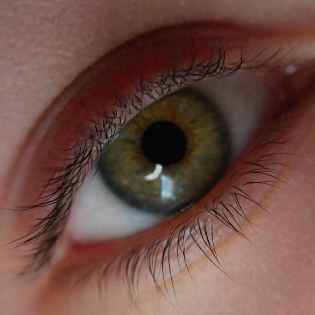 Lashlift met tint bij Maès Beauty, close-up van een groen oog